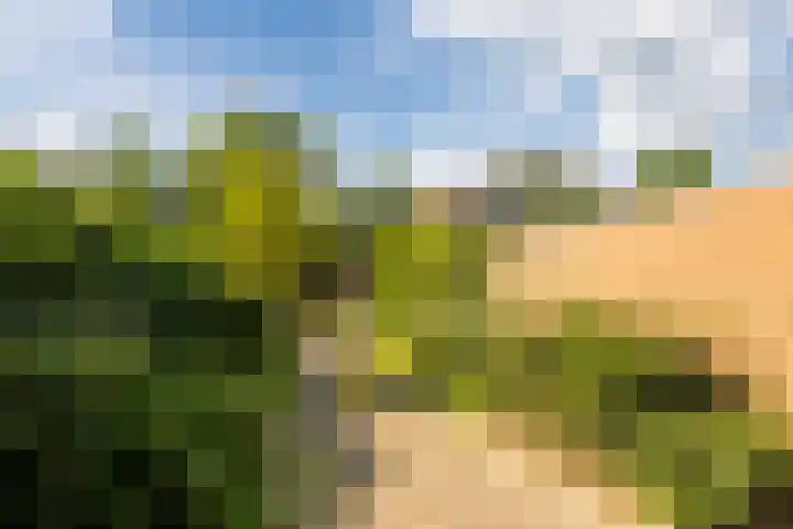 Statenlaan 69 Rijen thumbnail 45