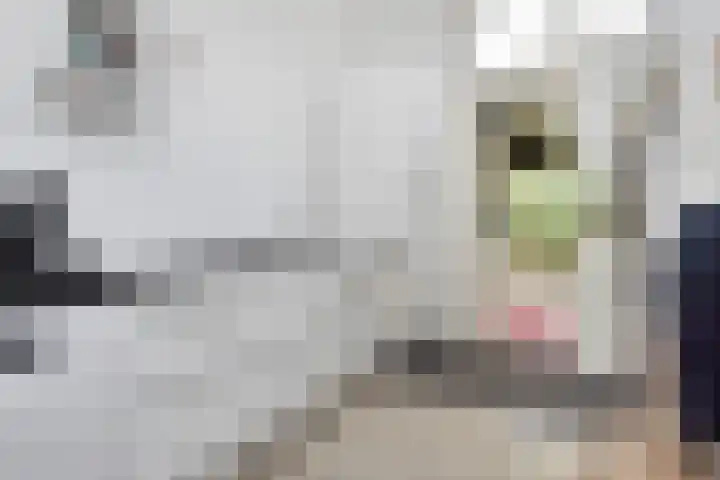 Statenlaan 73 Den Haag thumbnail 20