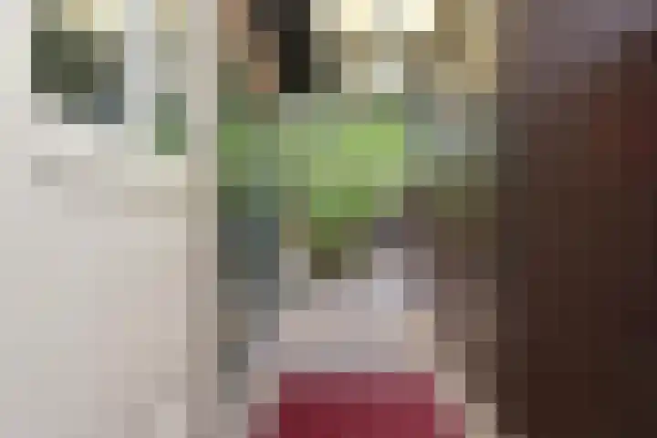 Statenlaan 73 Den Haag thumbnail 23