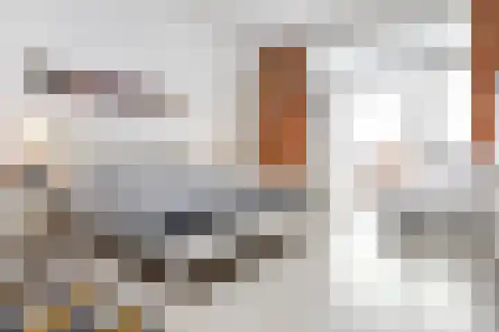 Statenlaan 73 Den Haag thumbnail 33