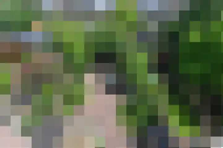 Statenlaan 73 Den Haag thumbnail 53