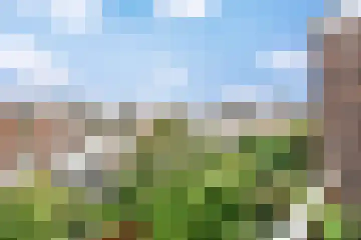 Statenlaan 73 Den Haag thumbnail 54
