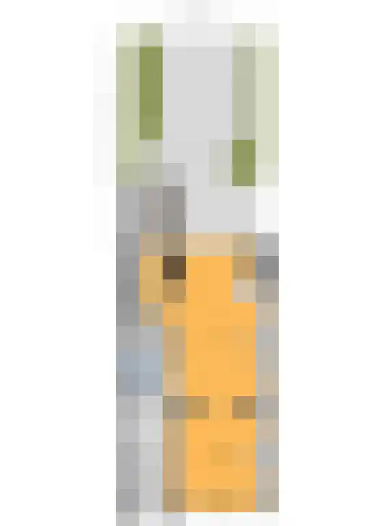 Statenlaan 73 Den Haag thumbnail 69