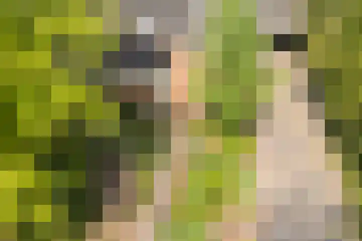 Statenlaan 74 Rijen thumbnail 100