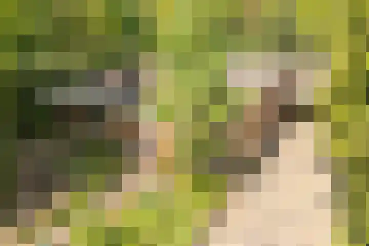 Statenlaan 74 Rijen thumbnail 101