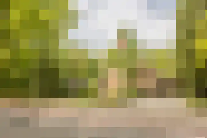 Statenlaan 74 Rijen thumbnail 102