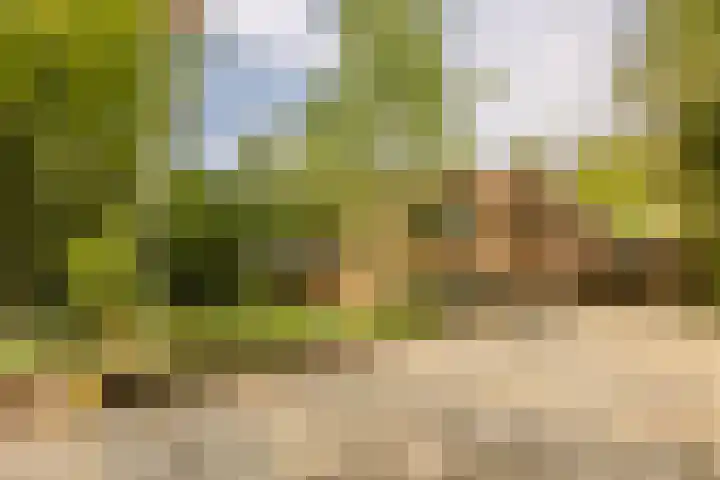 Statenlaan 74 Rijen thumbnail 103