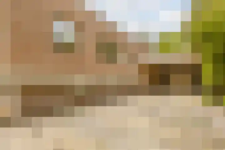 Statenlaan 74 Rijen thumbnail 104