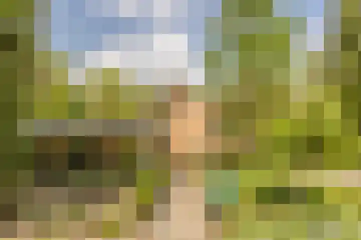 Statenlaan 74 Rijen thumbnail 105