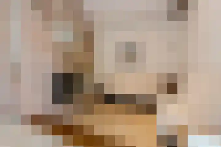 Statenlaan 74 Rijen thumbnail 11