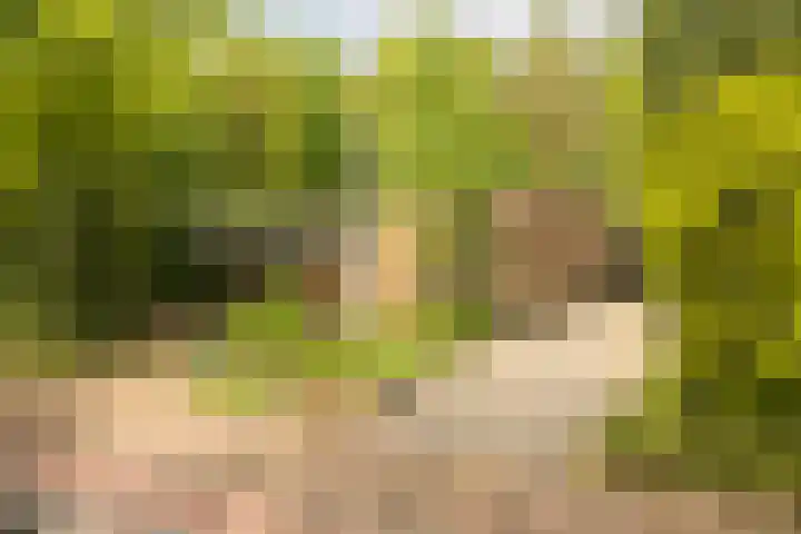 Statenlaan 74 Rijen thumbnail 114