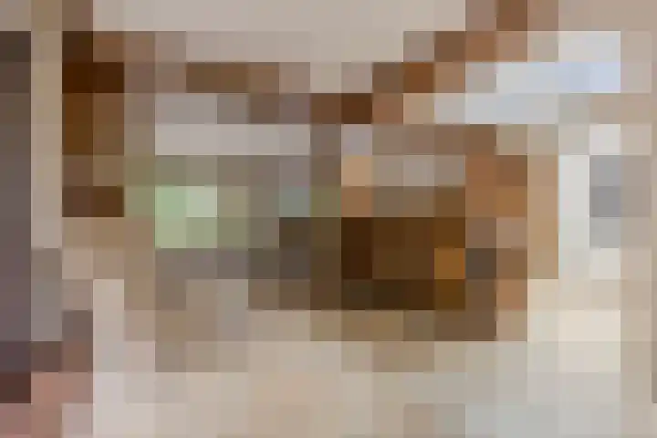 Statenlaan 74 Rijen thumbnail 14