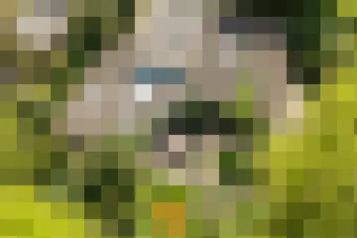 Statenlaan 74 Rijen foto 2