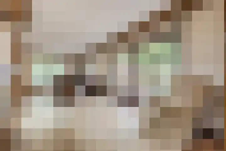 Statenlaan 74 Rijen thumbnail 21