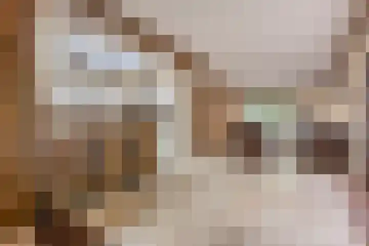 Statenlaan 74 Rijen thumbnail 22