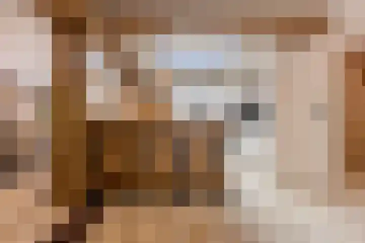 Statenlaan 74 Rijen thumbnail 23