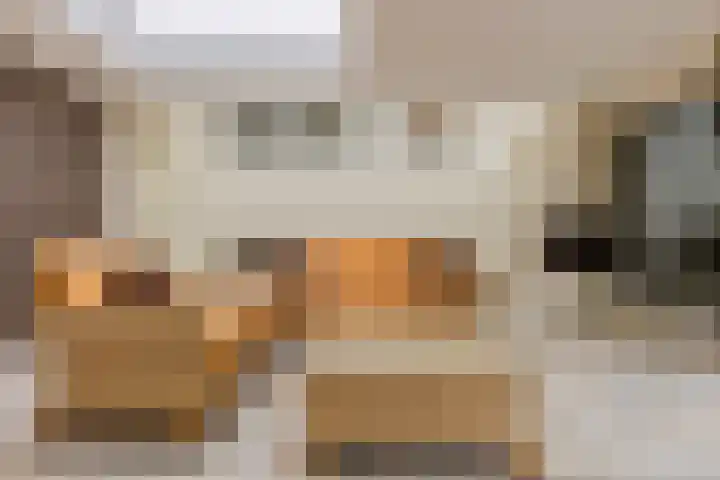 Statenlaan 74 Rijen thumbnail 30