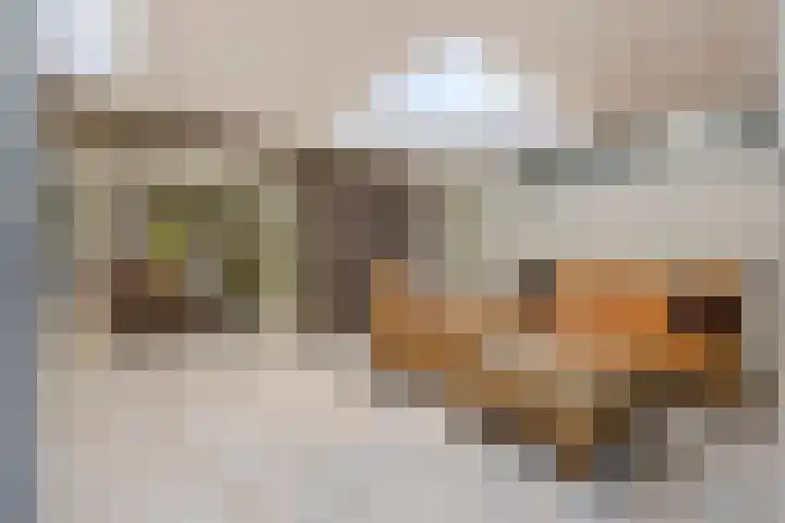 Statenlaan 74 Rijen thumbnail 32