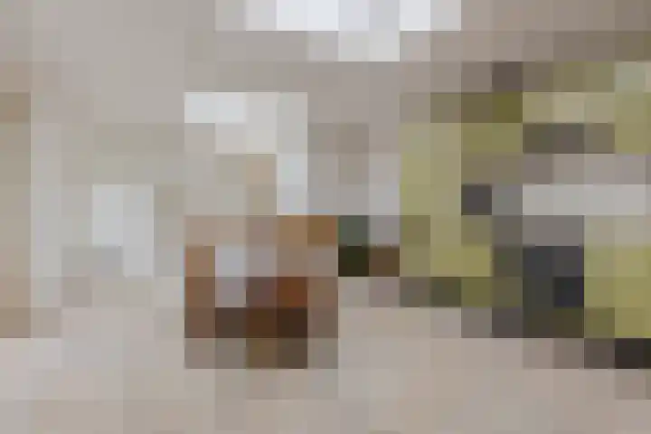 Statenlaan 74 Rijen thumbnail 35