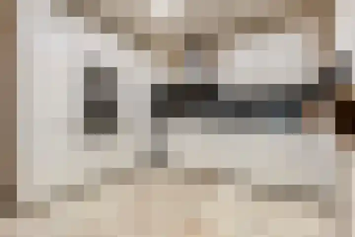 Statenlaan 74 Rijen thumbnail 4