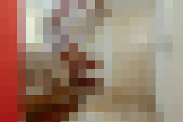 Statenlaan 74 Rijen thumbnail 44
