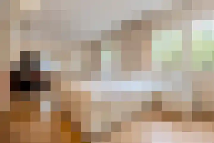 Statenlaan 74 Rijen thumbnail 56