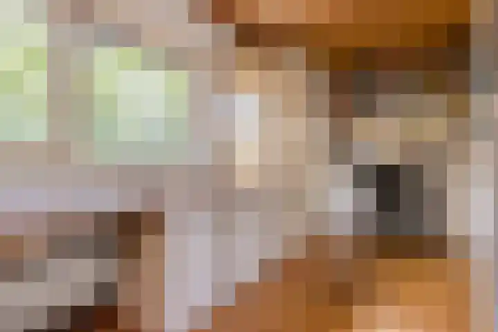 Statenlaan 74 Rijen thumbnail 75