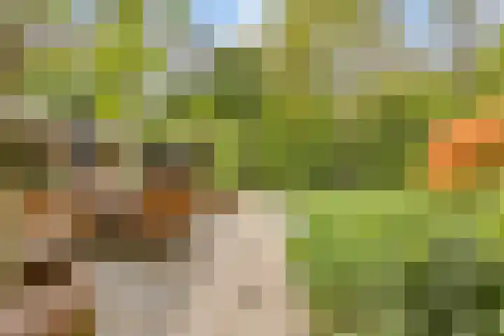 Statenlaan 74 Rijen thumbnail 76