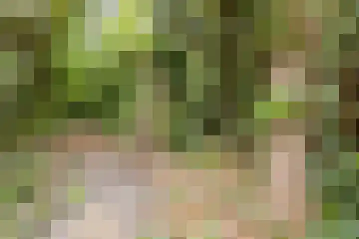 Statenlaan 74 Rijen thumbnail 77