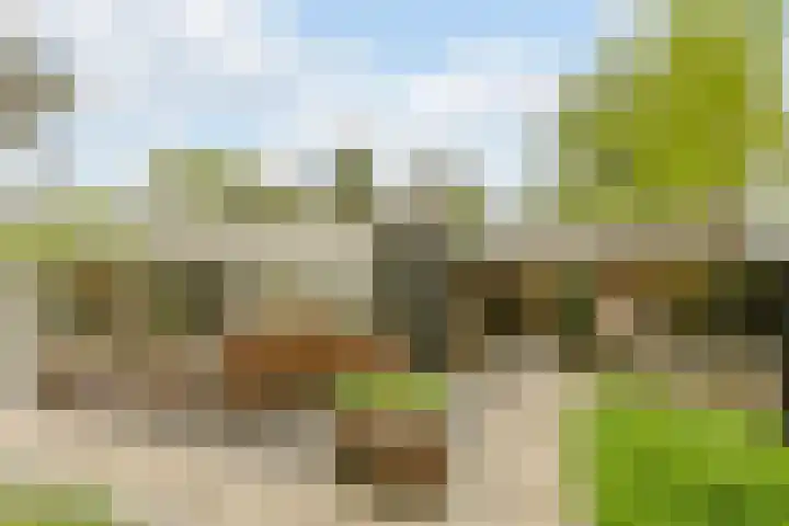 Statenlaan 74 Rijen thumbnail 78
