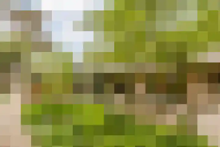 Statenlaan 74 Rijen thumbnail 79