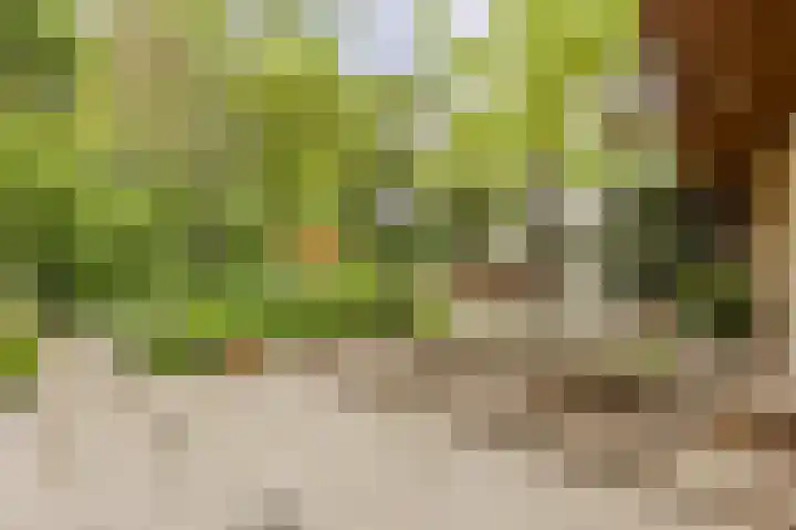 Statenlaan 74 Rijen thumbnail 80