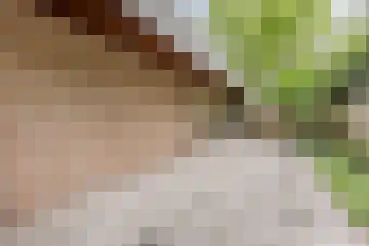 Statenlaan 74 Rijen thumbnail 81