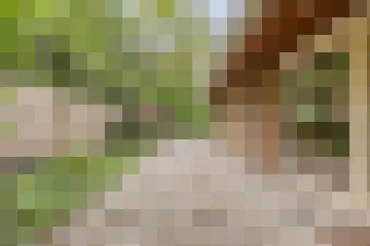 Statenlaan 74 Rijen thumbnail 82