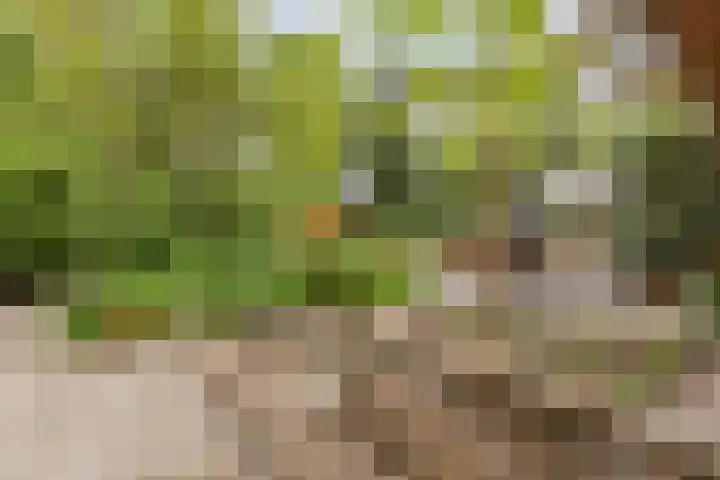 Statenlaan 74 Rijen thumbnail 83