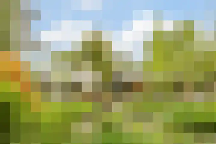 Statenlaan 74 Rijen thumbnail 84