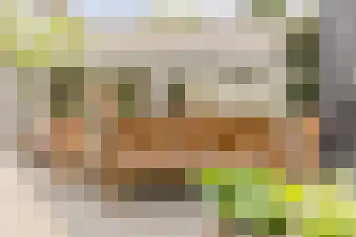 Statenlaan 74 Rijen thumbnail 85