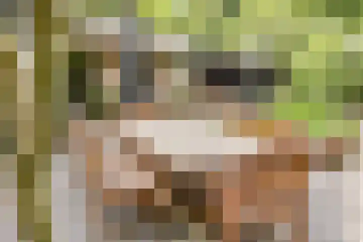 Statenlaan 74 Rijen thumbnail 86