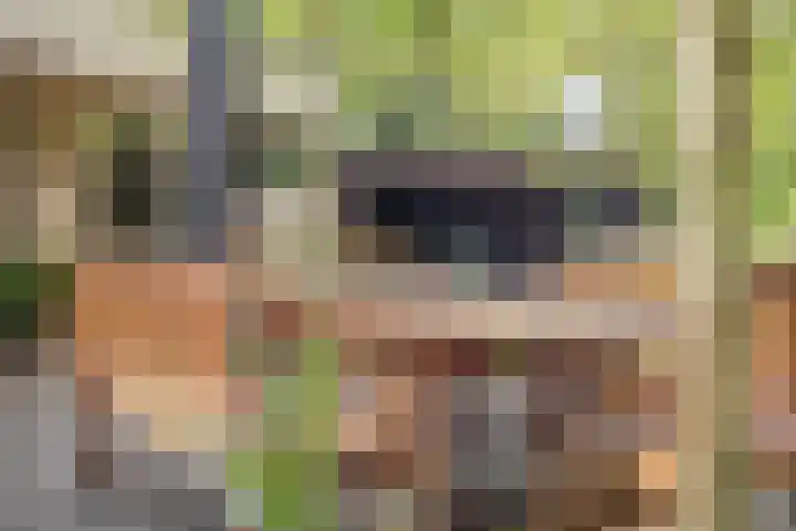 Statenlaan 74 Rijen thumbnail 87