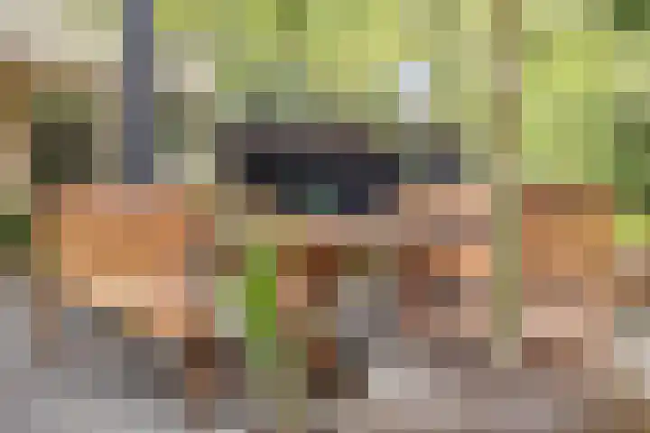 Statenlaan 74 Rijen thumbnail 88
