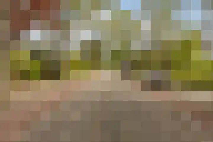 Statenlaan 74 Rijen thumbnail 89