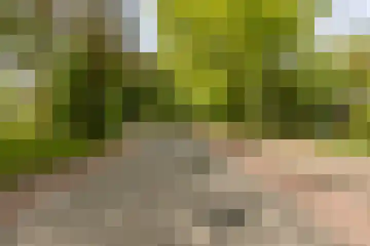 Statenlaan 74 Rijen thumbnail 90