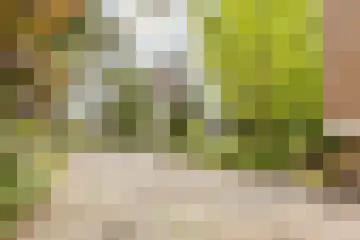 Statenlaan 74 Rijen thumbnail 91