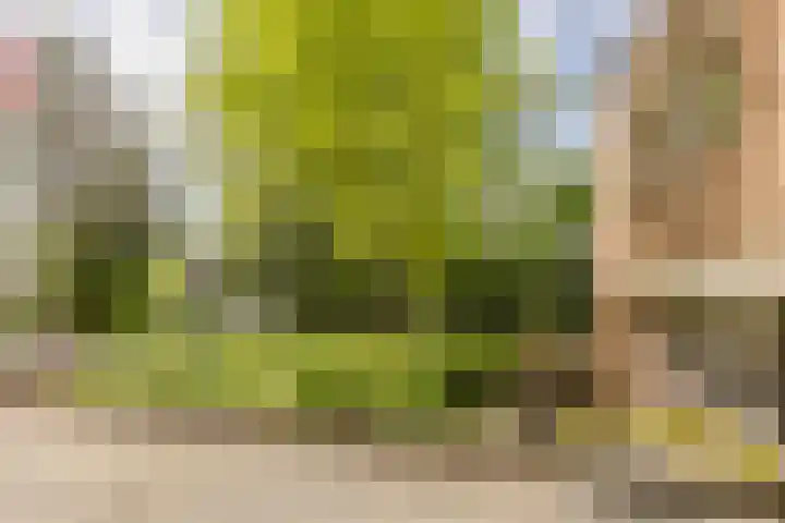 Statenlaan 74 Rijen thumbnail 92