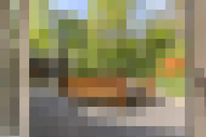 Statenlaan 74 Rijen thumbnail 93