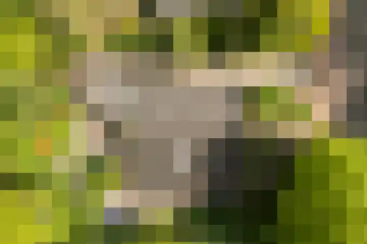 Statenlaan 74 Rijen thumbnail 95