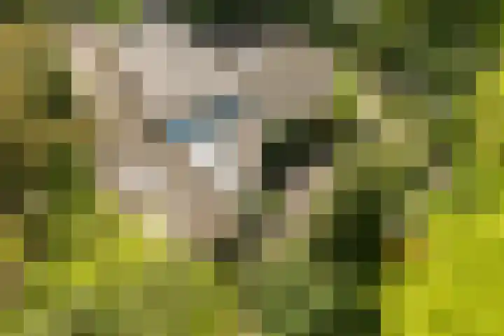 Statenlaan 74 Rijen thumbnail 96