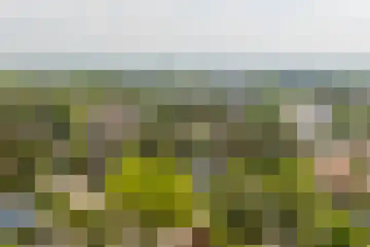 Statenlaan 74 Rijen thumbnail 97