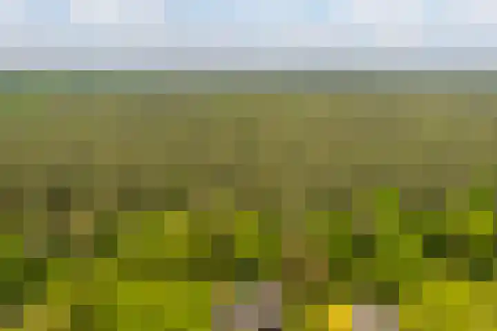 Statenlaan 74 Rijen thumbnail 98