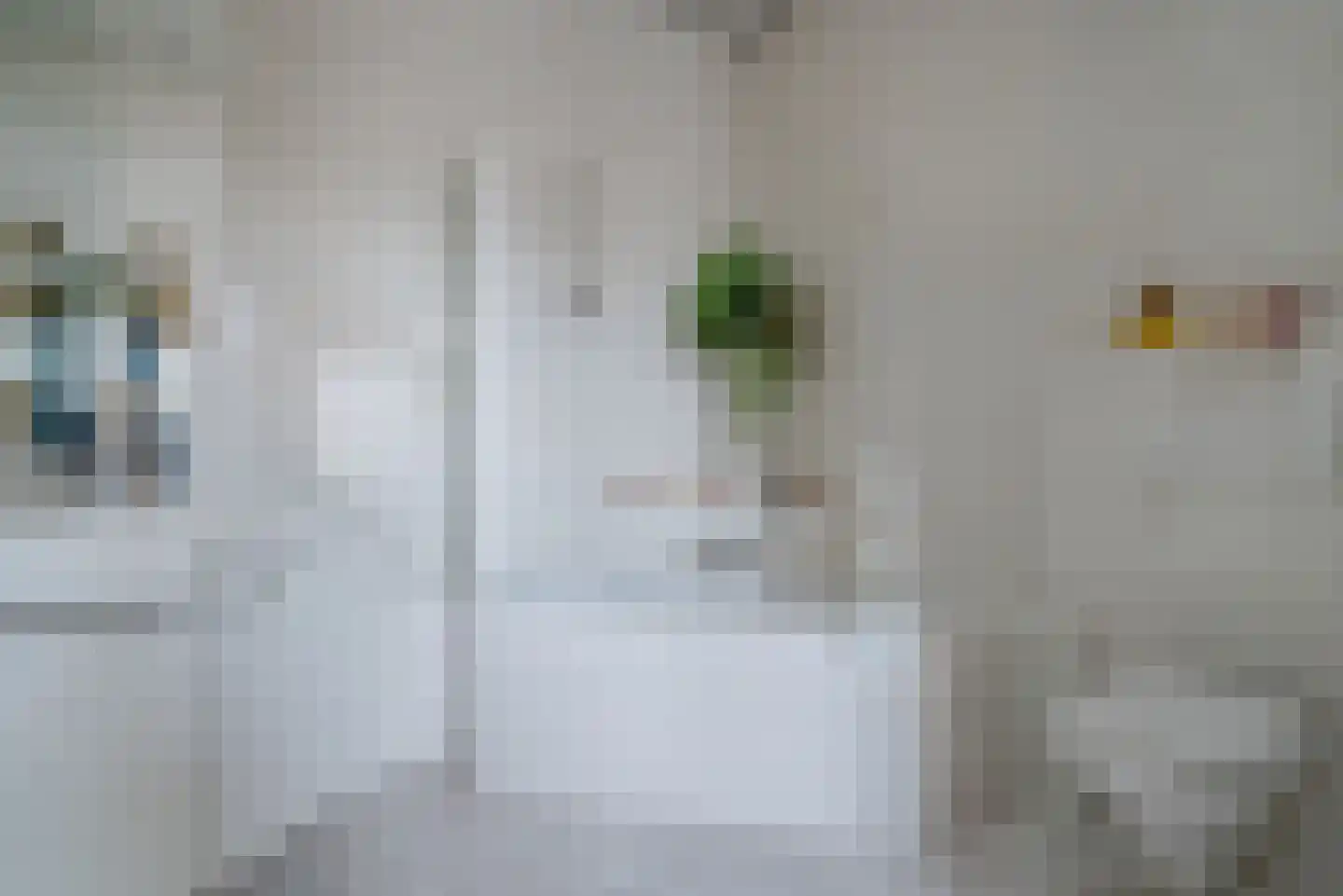 Statenlaan 75 Den Haag thumbnail 44